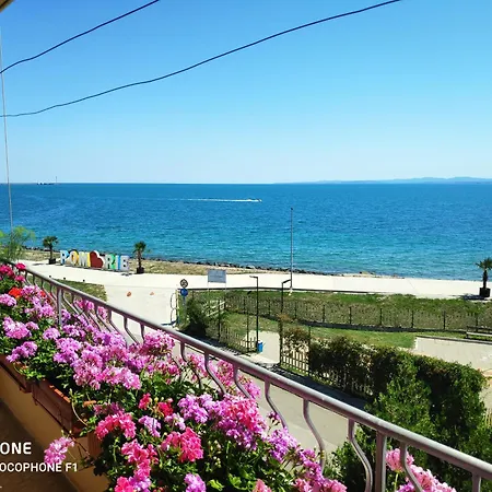 Kostadinov Проживание в семье