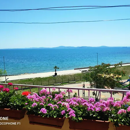 Проживание в семье Kostadinov Поморие