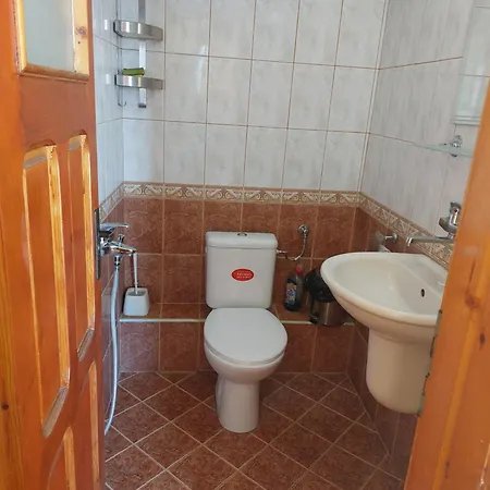 Проживание в семье Kostadinov