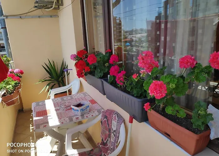 Проживание в семье Kostadinov