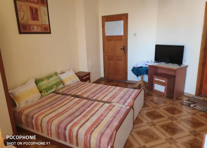 Проживание в семье Kostadinov