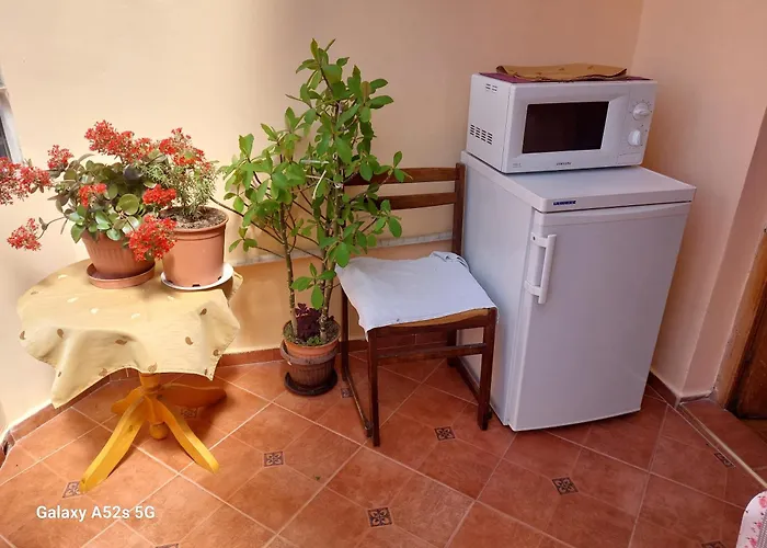 Проживание в семье Kostadinov